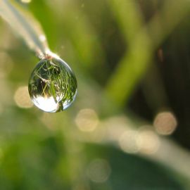 Escuchar las emociones