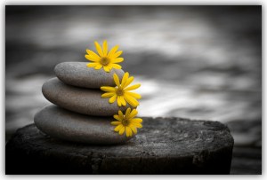 Estrés y equilibrio