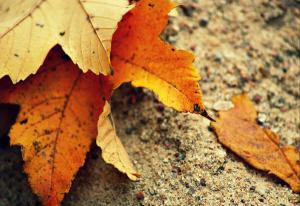 Parejas que se rompen