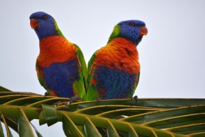 Los reproches en la pareja