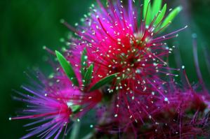 Vivencias en el desapego