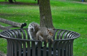 Salir de la zona de confort