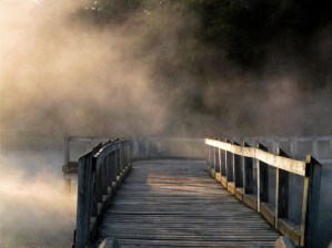 Sabiduría de la inseguridad