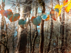 Las estaciones del alma