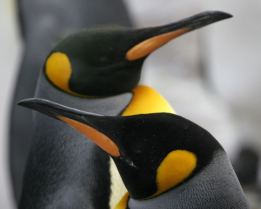 Las discusiones en la pareja