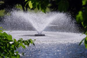 Vivir en automático