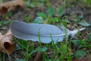 Conocer la sensibilidad