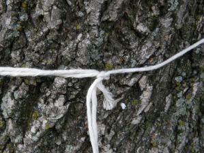 La infidelidad en la pareja