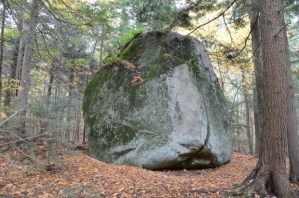 Cuando aparece la frustración