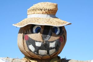 Ir a terapia, es de locos¿