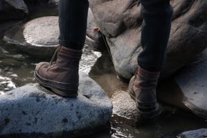 De donde venimos y adónde vamos