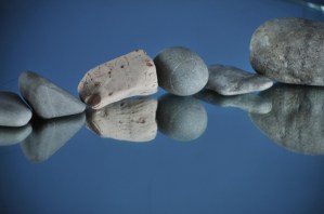 Así sentimos, así decidimos