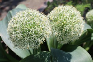 Crecer con la pareja