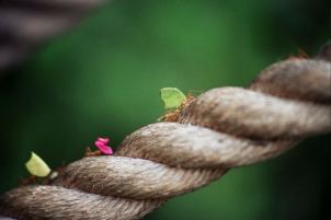 La fuerza interior que nos habita