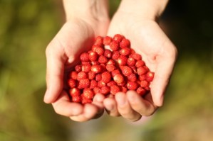 uso-y-abuso-del-gracias