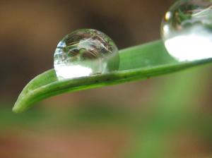 vivir-con-coherencia