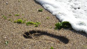 las-huellas-que-dejamos